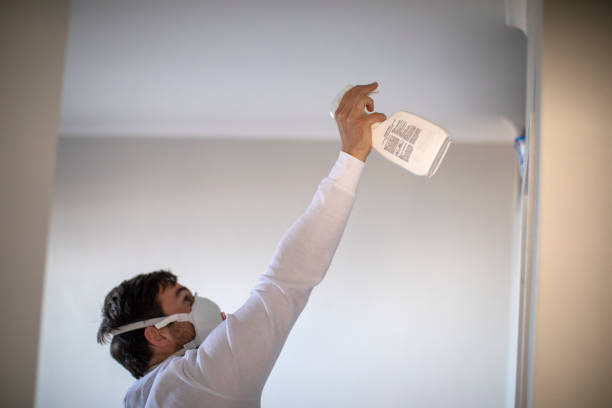 Best Mold Removal Company Near Me  in Sudan, TX