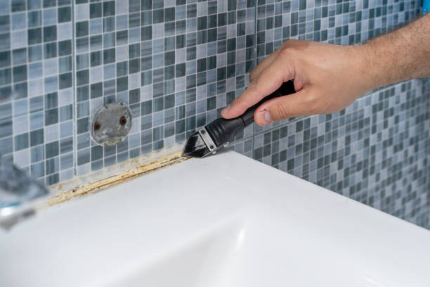 Best Home Mold Removal  in Sudan, TX