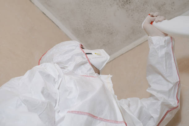 Best Mold Testing  in Sudan, TX