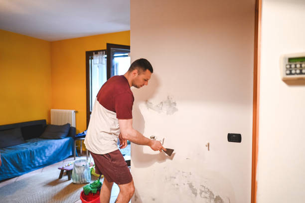 Mold Removal and Inspection in Sudan, TX